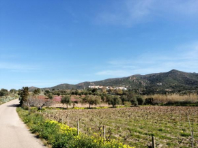 Hotels in Badesi